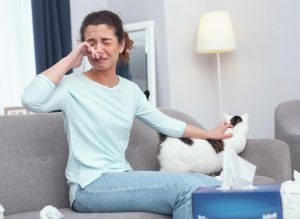 Allergies aux acariens 8 étapes pour maîtriser l’exposition chez les chiens et les chats