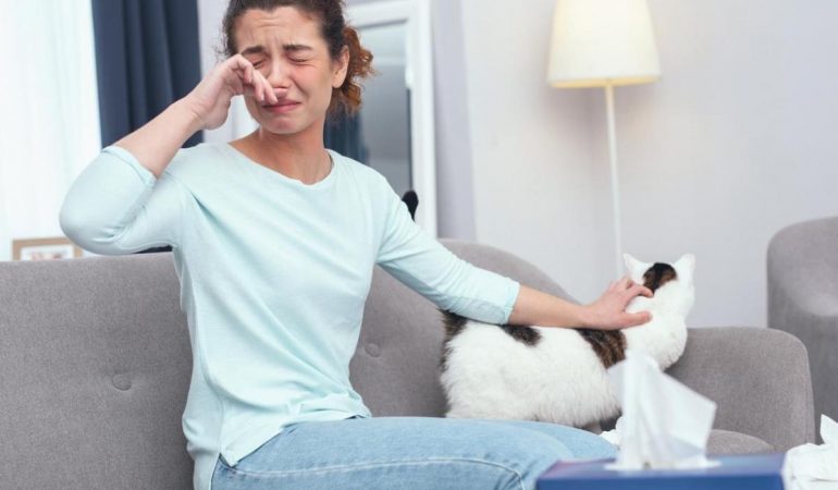 Allergies aux acariens 8 étapes pour maîtriser l’exposition chez les chiens et les chats
